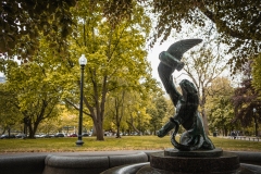 Bagheera in Boston Public Garden