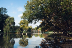 Boston Public Gardens