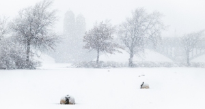 Esplanade-Snow-Storm-2-19