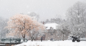 Esplanade-Snow-Storm-2-20