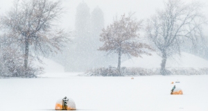 Esplanade-Snow-Storm-2-7