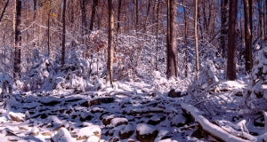Mt-Monadnock-Oct-2-of-11