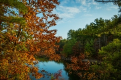 A vista breaking from the trail