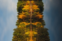 A giant woodland creature is hiding in the shoreline's mirror image