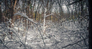 South-Res-Dec-14-of-21