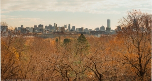 Mt-Auburn-Cemetery-1-of-15