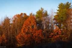 Mt-Monadnock-Oct-11-of-11