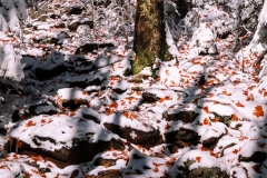 Mt-Monadnock-Oct-3-of-11