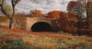 Fens-in-late-fall-23-of-23